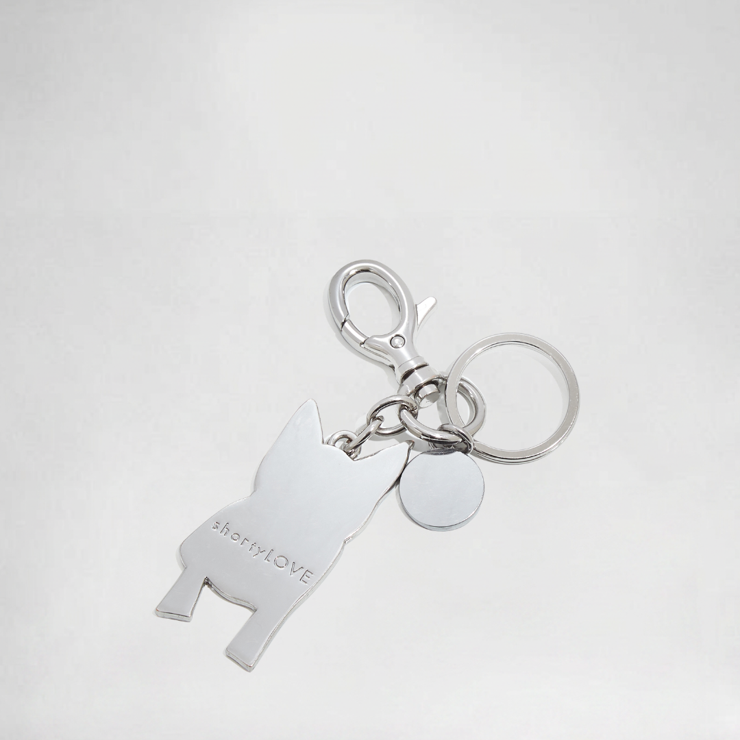 Silver keychain with a dog-shaped tag on a light gray background